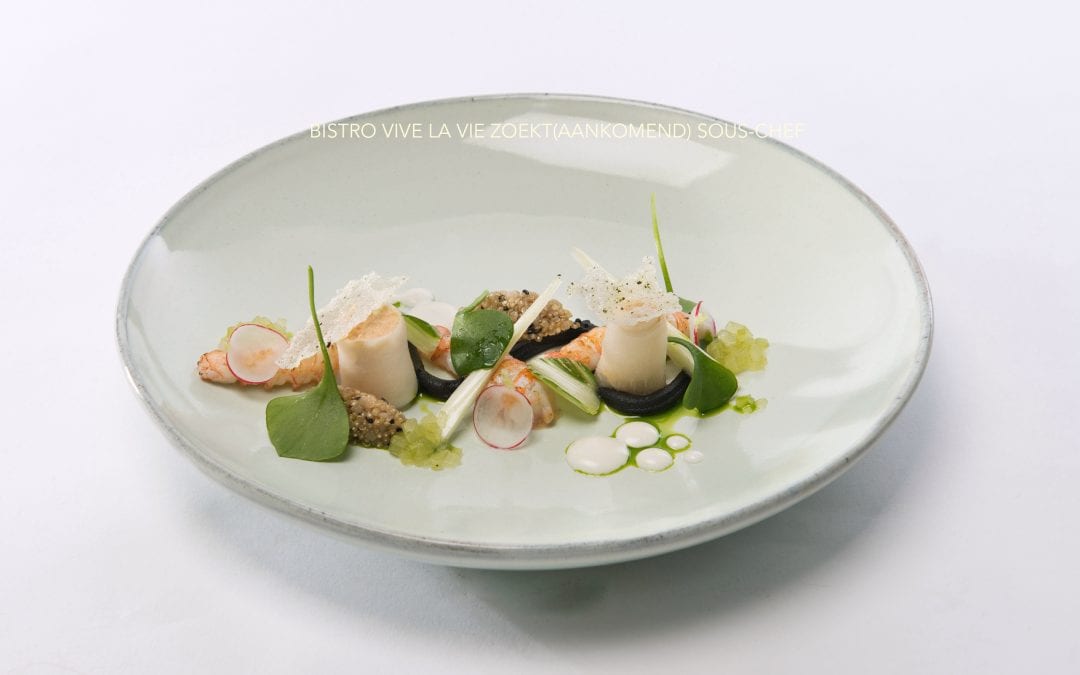 Gerecht 8